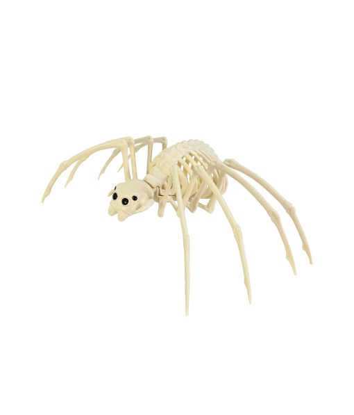 Skeleton Black Widow Spider 37cm