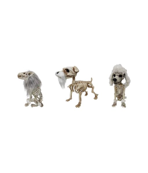 Skeleton Dog Assorted