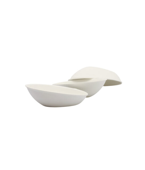 Biodegradable Appetizer Bowl 50pc 82 x 53 x 27cm