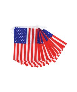 USA String Flags 5m 20pc