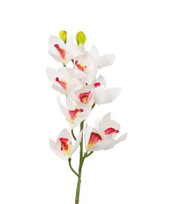 White Orchid With Pink Stamen 71cm