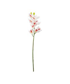 White Orchid With Pink Stamen 71cm