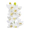 White Orchid With Yellow Stamen 71cm