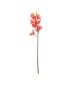 Pink Orchid With Pink Stamen 71cm