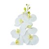 White Orchid With Yellow Stamen 88cm