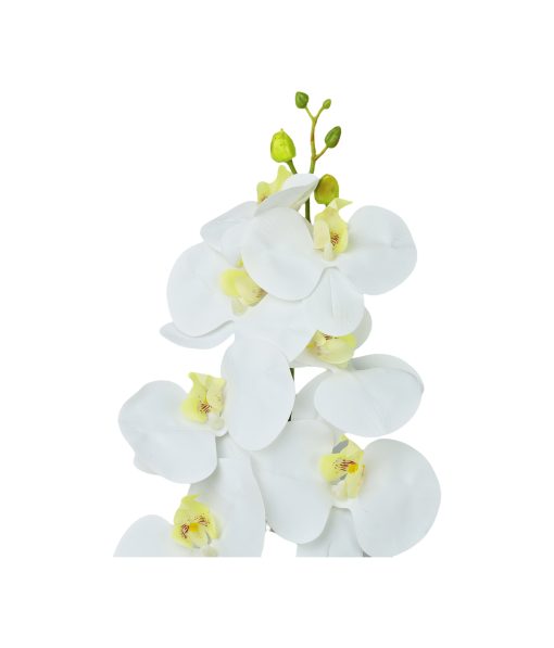 White Orchid With Yellow Stamen 88cm