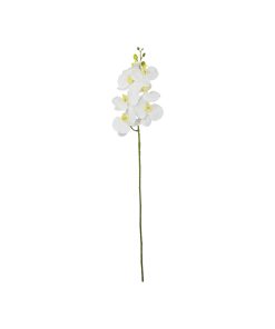 White Orchid With Yellow Stamen 88cm