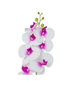 White Orchid With Purple Stamen 88cm