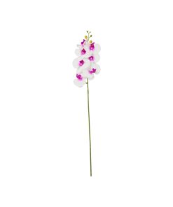 White Orchid With Purple Stamen 88cm