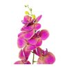 Purple Orchid With Purple Stamen 88cm