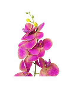 Purple Orchid With Purple Stamen 88cm