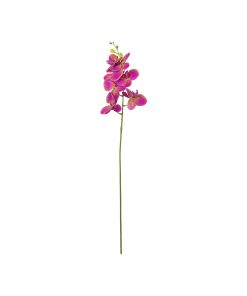 Purple Orchid With Purple Stamen 88cm