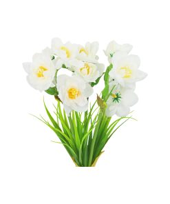 White Narcissus Flower 3 Heads 35cm