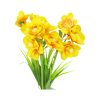 Yellow Narcissus Flower 3 Heads 35cm