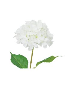 White Hydrangea 63cm