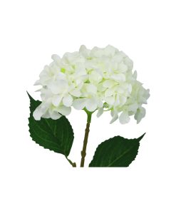 2 tone White Green Hydrangea Flower 63cm
