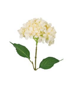 Cream Hydrangea Flower 63cm