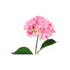 Pink Hydrangea Flower 63cm
