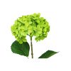 Green Hydrangea Flower 63cm