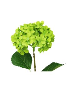 Green Hydrangea Flower 63cm