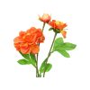 Orange Dahlia Flower 3 Head 62cm