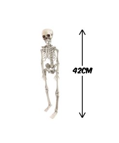 skeleton 42cm