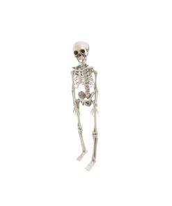 skeleton 42cm