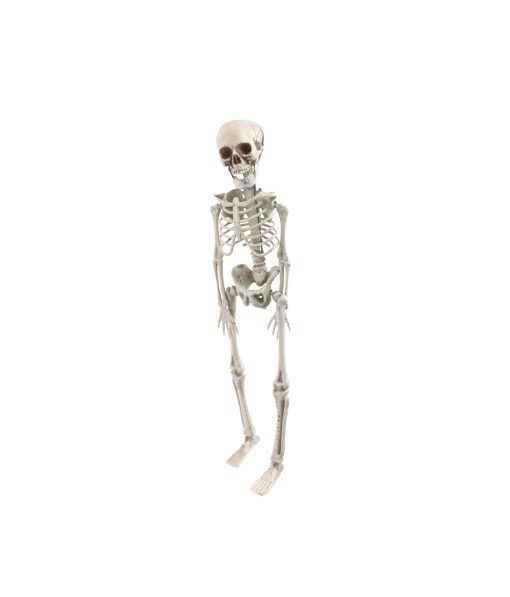 skeleton 42cm