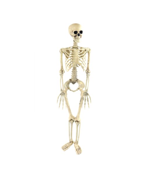 skeleton 88cm