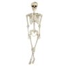 skeleton 170cm