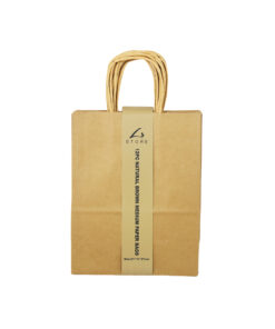 Natural Brown Medium Paper Bag 12pc 21 x 11 x 27cm