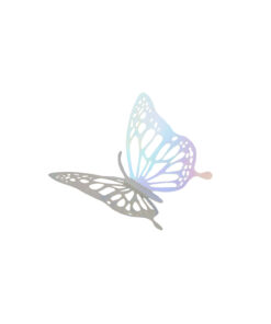 Iridescent 3D Paper Bufferfly with Glue Stick 12pc