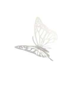 Silver 3D Paper Bufferfly with Glue Stick 12pc