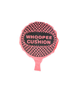 Whoopee Cushion with Sponge 20.5 cm