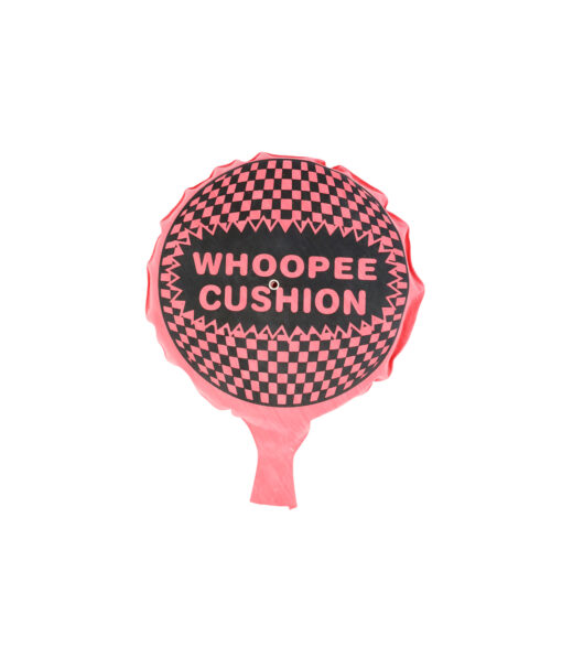 Whoopee Cushion with Sponge 20.5 cm