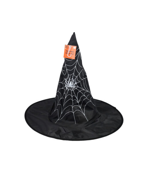 Spiderwen Witch Hat