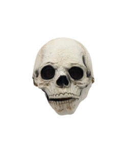 Mouth Moving Skull Mask