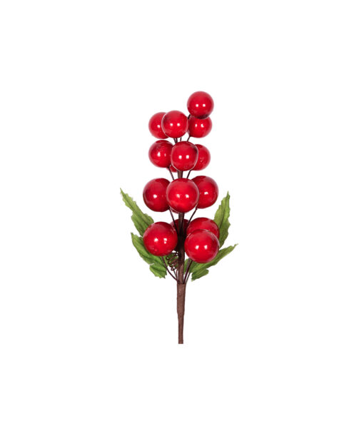 berry stem