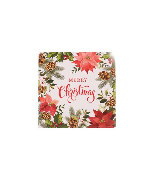 Poinsettia Napkins 2ply 25pk 33x33cm