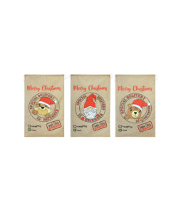 Special Delivery Icon Santa Sack Assorted 80x50cm