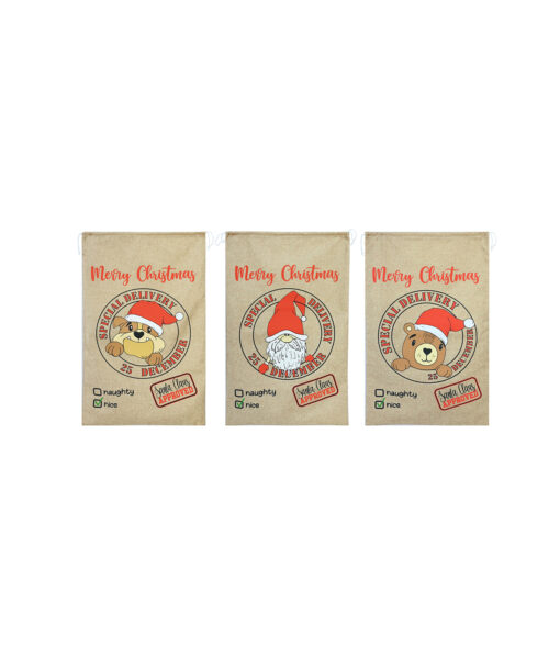 Special Delivery Icon Santa Sack Assorted 80x50cm