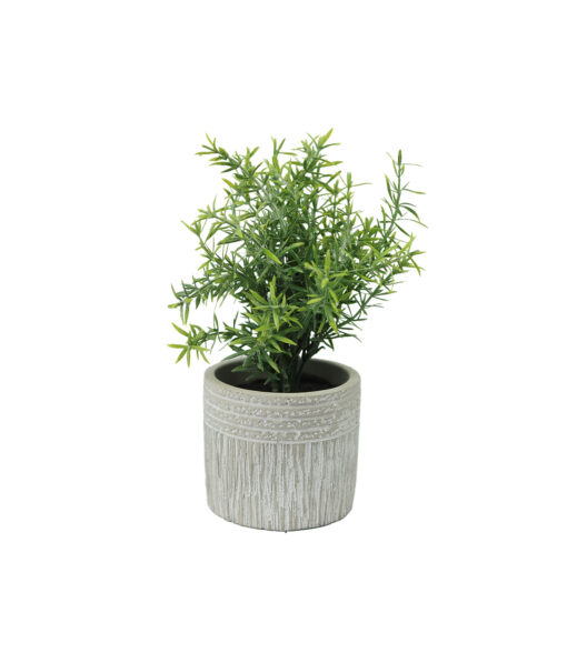 Artificial Rosemary in Cement Pot 10 x 10 x 23cm