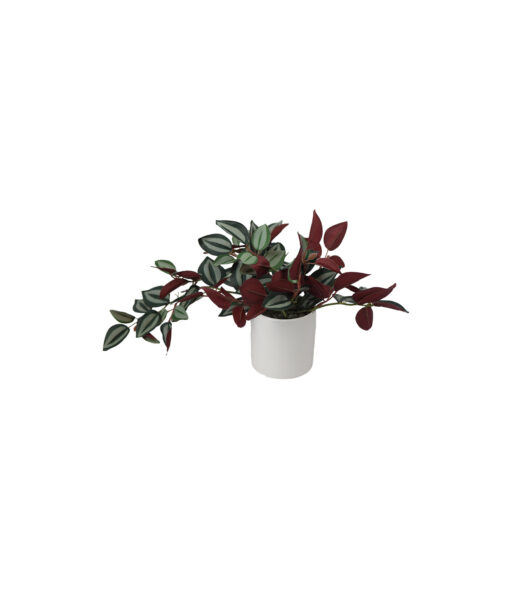 Red Leaf Artificial Zebrina with Ceramic Pot 9 x 9 x 40cm