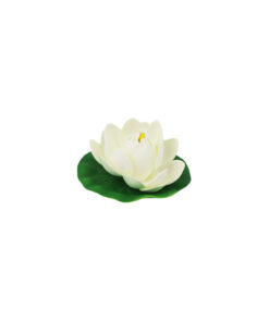 Off White Floating Water Lily 10cm