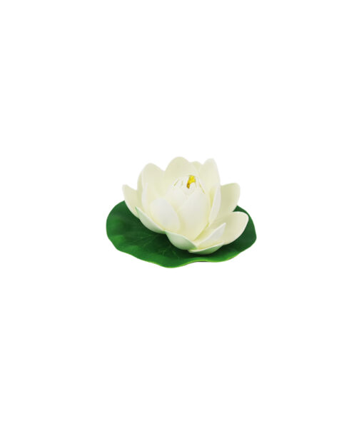 Off White Floating Water Lily 10cm