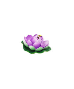 Purple Floating Water Lily 10cm