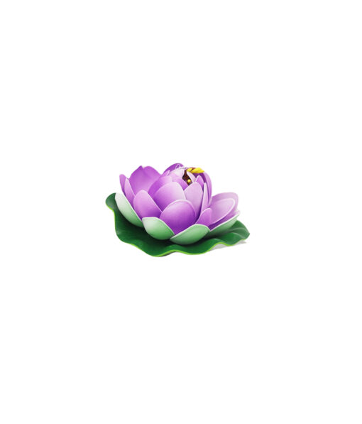 Purple Floating Water Lily 10cm