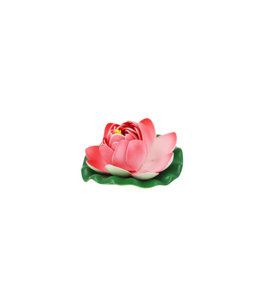 Pastel Red Floating Water Lily 10cm