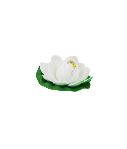 White Floating Water Lily 10cm