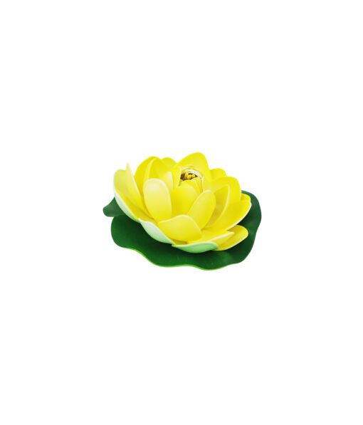 Yellow Floating Water Lily 10cm